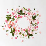 Creatief bloemen rond kader met roze bloemblaadjes en groene bladeren royalty-vrije stock afbeelding Creatief bloemen rond kader met roze bloemblaadjes en groene bladeren royalty-vrije stock afbeelding
