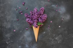 Creatief stilleven van roze sering in de kegel van het wafelroomijs op uitstekende zwarte lijst De lente Hoogste mening royalty-vrije stock foto's Creatief stilleven van roze sering in de kegel van het wafelroomijs op uitstekende zwarte lijst De lente Hoogste mening royalty-vrije stock foto's
