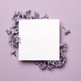 Creative layout made with lilac flowers on bright purple background with space for text royalty free stock photos Creative layout made with lilac flowers on bright purple background with space for text royalty free stock photos