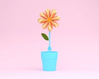 Creative Layout Made Of Orange Slice Flower With Flowerpot On Pi Stock Photos