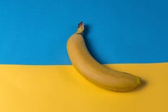 Minimalism style. Fruit pattern with yellow ripe banana fruit over yellow and blue background stock images Minimalism style. Fruit pattern with yellow ripe banana fruit over yellow and blue background stock images