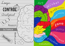 Creativity brain