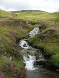 A creek accompanied by purple heather running down green Hills at Glenshee Valley, Grampian Mountains, Scotland stock photo A creek accompanied by purple heather running down green Hills at Glenshee Valley, Grampian Mountains, Scotland stock photo
