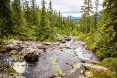 Creek in beautiful mountains and woodlands in Norway Stock Image Creek in beautiful mountains and woodlands in Norway Stock Image