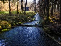 Creek in a marsh in autumn Stock Photos Creek in a marsh in autumn Stock Photos