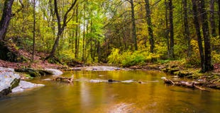 A creek at Rocks State Park, Maryland. stock images A creek at Rocks State Park, Maryland. stock images