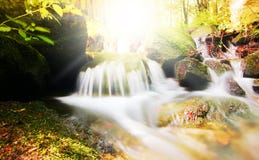 Creek and sun in the forest Royalty Free Stock Photography Creek and sun in the forest Royalty Free Stock Photography