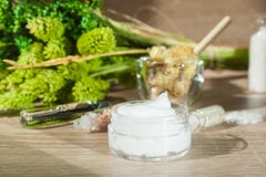 CREME NO FUNDO DE ÓLEOS ESSENCIAIS DE PLANTAS VERDES E DE INGREDIENTES NATURAIS O conceito de cosméticos naturais imagem de stock royalty free CREME NO FUNDO DE ÓLEOS ESSENCIAIS DE PLANTAS VERDES E DE INGREDIENTES NATURAIS O conceito de cosméticos naturais imagem de stock royalty free