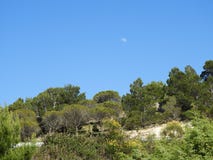 Crescent over a forest at day royalty free stock image Crescent over a forest at day royalty free stock image