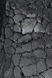 Crevasses et fissures dans une route de rue d'asphalte photographie stock libre de droits Crevasses et fissures dans une route de rue d'asphalte photographie stock libre de droits