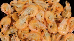 Crevettes de cuisinier Le mensonge préparé de crevettes d'un plat Mouvement de la vue supérieure d'appareil-photo clips vidéos Crevettes de cuisinier Le mensonge préparé de crevettes d'un plat Mouvement de la vue supérieure d'appareil-photo clips vidéos