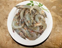 Crevettes roses crues de roi dans la cuvette sur la table de marbre photos stock Crevettes roses crues de roi dans la cuvette sur la table de marbre photos stock