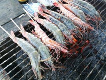 Crevettes roses grillées, fruits de mer de barbecue de crevettes images stock Crevettes roses grillées, fruits de mer de barbecue de crevettes images stock