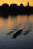 Crew Team on the Charles royalty free stock photography Crew Team on the Charles royalty free stock photography