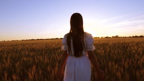 Crian?a feliz que anda no campo a menina feliz anda atrav?s do campo com as orelhas amarelas do trigo e do trigo dos toques com s video estoque Crian?a feliz que anda no campo a menina feliz anda atrav?s do campo com as orelhas amarelas do trigo e do trigo dos toques com s video estoque