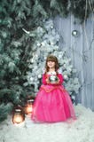 A criança fêmea adorável pequena no vestido cor-de-rosa guarda o brinquedo para a decoração, decora a árvore do ano novo Criança foto de stock A criança fêmea adorável pequena no vestido cor-de-rosa guarda o brinquedo para a decoração, decora a árvore do ano novo Criança foto de stock
