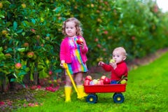 Crianças que escolhem a maçã em uma exploração agrícola fotografia de stock Crianças que escolhem a maçã em uma exploração agrícola fotografia de stock