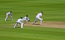 Cricket at The Oval