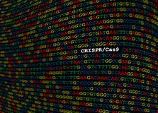 CRISPR-Cas9 locus na DNA sekwenci ilustracji CRISPR-Cas9 locus na DNA sekwenci ilustracji