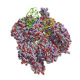 CRISPR/Cas9 protein model vector illustration CRISPR/Cas9 protein model vector illustration