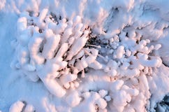 Cristales de hielo en la hierba, el hielo y la belleza natural abstracta congelada agua, hierba del invierno cubierta con nieve c Imagen de archivo Cristales de hielo en la hierba, el hielo y la belleza natural abstracta congelada agua, hierba del invierno cubierta con nieve c Imagen de archivo