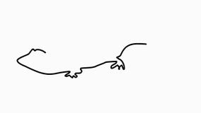 Crocodile icon Line Drawing Animation Transparent Background Vector Motion Graphics Loop