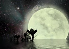 Crocus & surreal moonscape