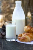 croissants γάλα στοκ φωτογραφία με δικαίωμα ελεύθερης χρήσης croissants γάλα στοκ φωτογραφία με δικαίωμα ελεύθερης χρήσης