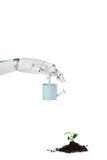 cropped shot of robot holding watering can over small plant stock photography cropped shot of robot holding watering can over small plant stock photography