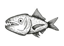 Croquis de poissons illustration stock Croquis de poissons illustration stock