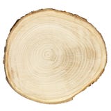 Cross section of wood