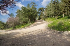 Crossroads in the forest Stock Photography Crossroads in the forest Stock Photography