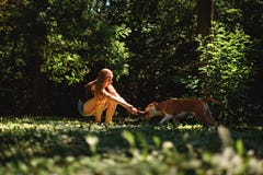 Crouching girl pulling branch with her dog royalty free stock photography Crouching girl pulling branch with her dog royalty free stock photography