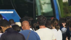 Crowd of fans gathered in street, waiting for celebrity with cameras near hotel stock video Crowd of fans gathered in street, waiting for celebrity with cameras near hotel stock video