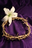 Crown of Thorns with Lily
