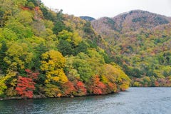 Cruisereis langs Chuzenji-Meer in de herfst, Nikko, Japan royalty-vrije stock foto's Cruisereis langs Chuzenji-Meer in de herfst, Nikko, Japan royalty-vrije stock foto's