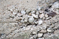 Old Barn Stone Foundation Stock Photos, Images, & Pictures ...