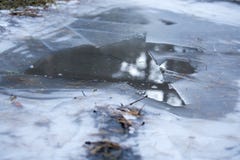 Crushed ice in a forest , frozen pond, the ice crust. stock images Crushed ice in a forest , frozen pond, the ice crust. stock images