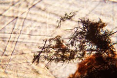 Crystallized Methilene blue on paper texture. At the microscope stock photography Crystallized Methilene blue on paper texture. At the microscope stock photography