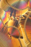 Crystals Under Microscope