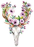 Crânio brilhante dos cervos do vetor da aquarela com flores ilustração royalty free Crânio brilhante dos cervos do vetor da aquarela com flores ilustração royalty free