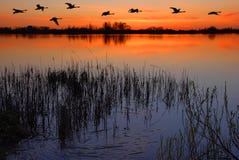 Crépuscule par le lac images stock Crépuscule par le lac images stock