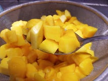 Cubi marinati della zucca Immagine Stock Cubi marinati della zucca Immagine Stock