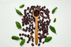 Cucchiaio di legno con i fagioli porpora e gli spinaci isolati su fondo bianco Il concetto di alimento vegetariano, dieta sana immagine stock libera da diritti Cucchiaio di legno con i fagioli porpora e gli spinaci isolati su fondo bianco Il concetto di alimento vegetariano, dieta sana immagine stock libera da diritti