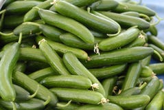 Cucumber Pattern Stock Image Cucumber Pattern Stock Image