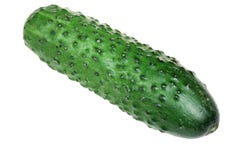 Cucumber on a white background royalty free stock photos Cucumber on a white background royalty free stock photos