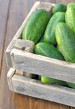 Cucumbers In A Box Stock Image