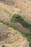 Cuestas de los viñedos del vino de Oporto Imagenes de archivo Cuestas de los viñedos del vino de Oporto Imagenes de archivo