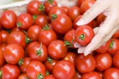 Cuisine italienne photo stock Cuisine italienne photo stock