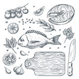 Cuisson du dorado de poissons et du bifteck saumoné, illustration de croquis Éléments de conception de menu de restaurant de frui illustration libre de droits Cuisson du dorado de poissons et du bifteck saumoné, illustration de croquis Éléments de conception de menu de restaurant de frui illustration libre de droits